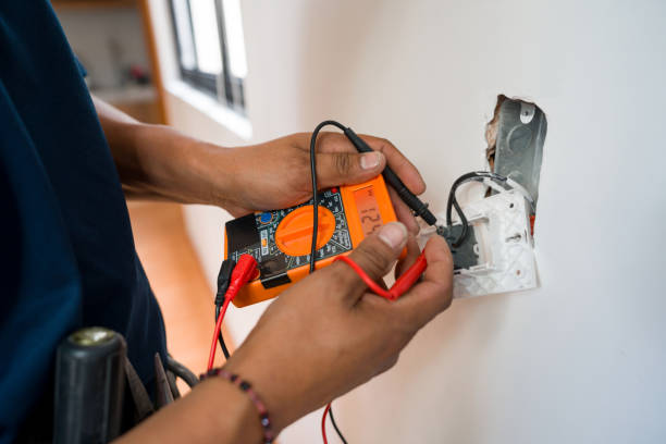 Best Local Electrician Companies  in Edisto, SC
