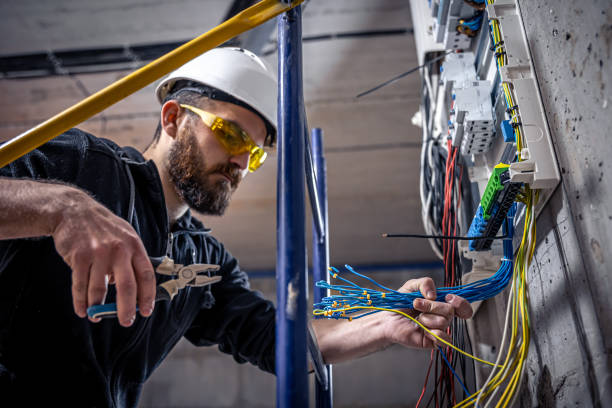 Best Generator Installation Services  in Edisto, SC